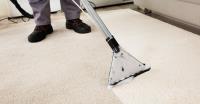 Carpet Cleaning Petrie image 4